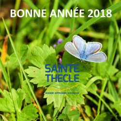 Bonne année 2018