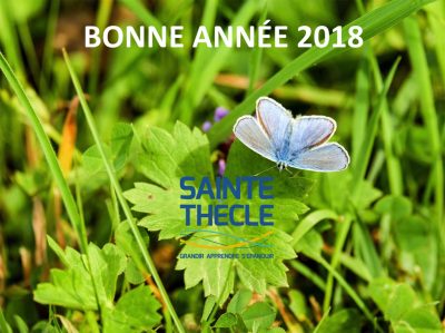 Bonne année 2018