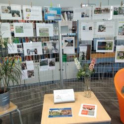 Exposition : Droits et devoirs pendant le confinement