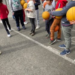 Sports à l’école