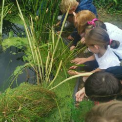 Sortie nature pour les CP CE1 Mondrian