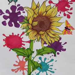 Exposition : Option « Arts Plastiques »