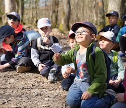 Une balade en forêt – l’école du dehors en GS : deux jours en classe verte !
