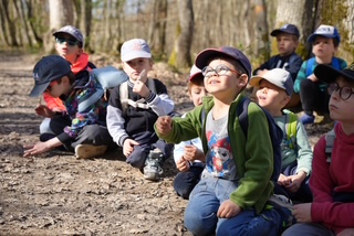 Une balade en forêt – l’école du dehors en GS : deux jours en classe verte !