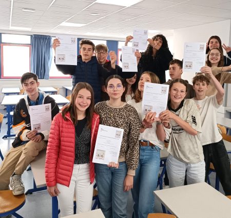Olympiades de Mathématiques en classe de Quatrième