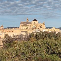 Les terminales de Sainte-Thècle sur les routes d’Andalousie