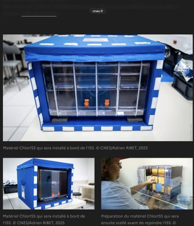 Projet ChlorISS Seconde Sixième Sainte-Thècle