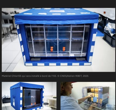Projet ChlorISS&nbsp;: Prends-en de la graine&nbsp;!